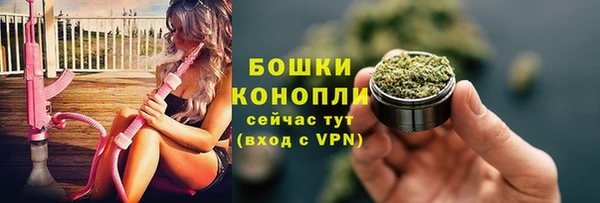 стаф Баксан