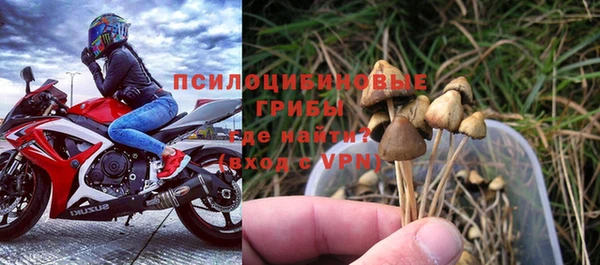 стаф Баксан