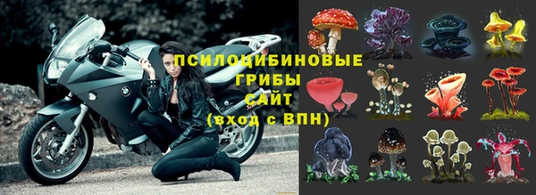 ECSTASY Арсеньев
