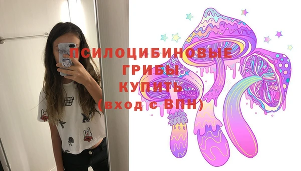 стаф Баксан
