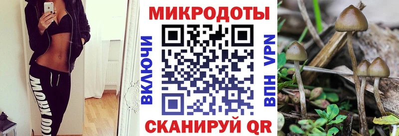 Купить где  Тайга  Псилоцибиновые грибы прущие грибы 